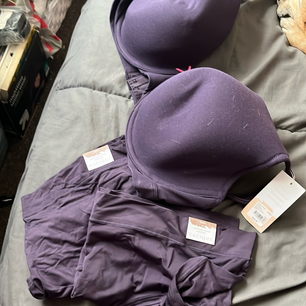 New bra with 2 matching panties